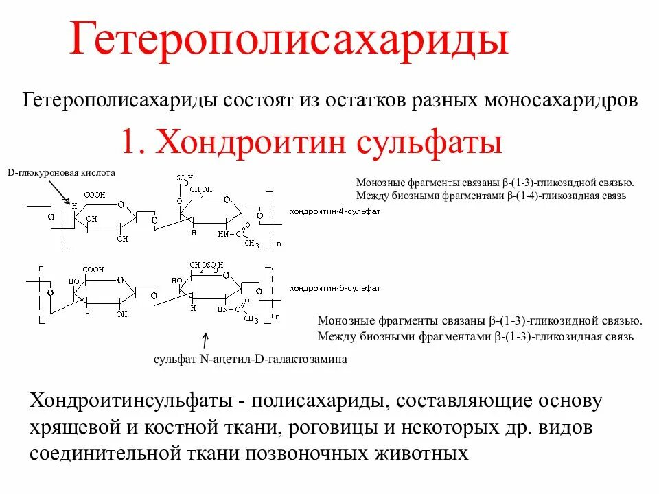 Гетерополисахариды соединительной ткани. Гетерополисахариды классификация биохимия. понятие о гетерополисахаридах. гетерополисахариды строение.
