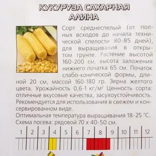 Расстояние между кукурузой при посадке