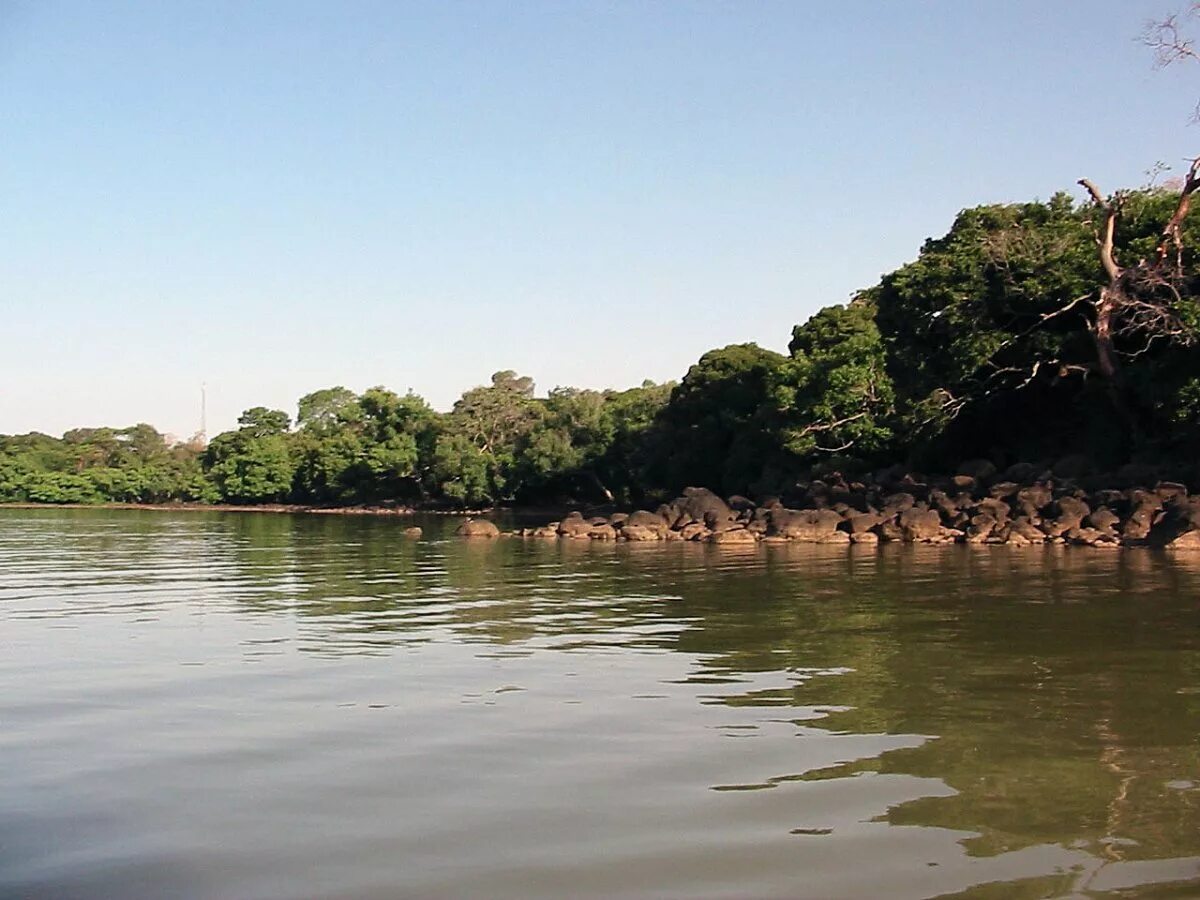 озеро в эфиопии. озеро тана. озеро в эфиопии. озеро тана эфиопия. достопримечательности эфиопии озеро тана.