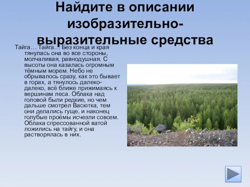 Тайга тайга без конца и края. Тайга вывод. Тайга по прежнему тянулась. Тайга по прежнему тянулась в даль Молчаливая Равнодушная.