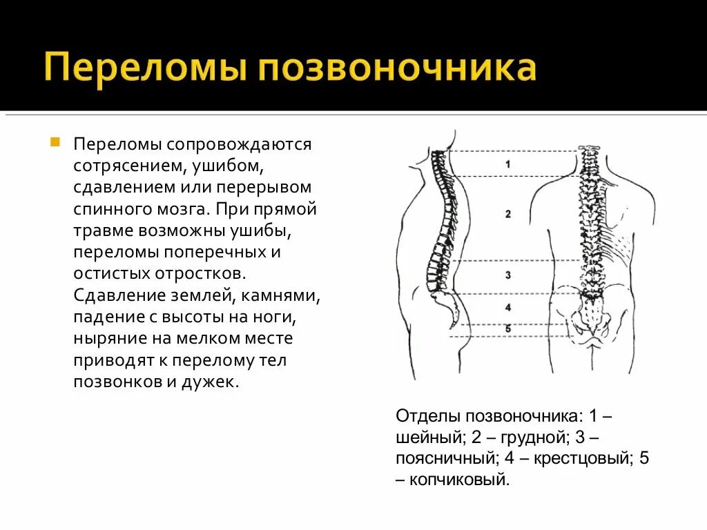 Перелом позвоночника повреждения симптомы. Компрессионный перелом позвоночника 4-5 позвонок. Клинические проявления перелома позвоночника. Компрессионный перелом позвоночника th-5-6.