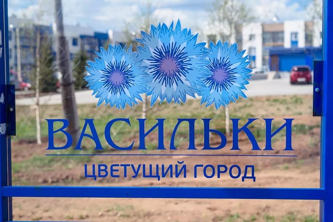 салфетки для декупажа васильки. васильки адреса на карте. клевер и васильки. васильки адреса на карте. цветок василек для детей.