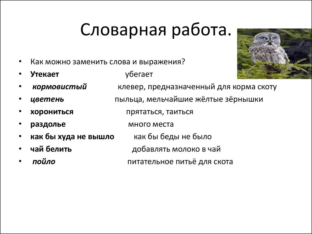 Значение слова хорониться. Бианки Сова Словарная работа. Значение слова кормовистый. План рассказа Сова 2 класс. Заменить слово приходится