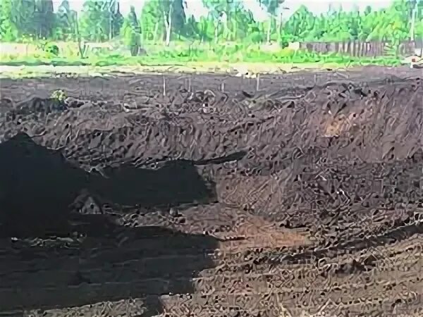 Торфяной фундамент