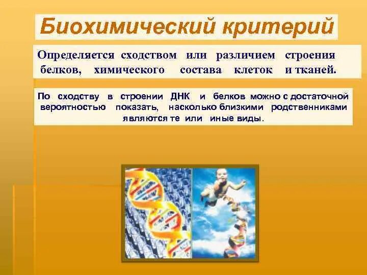 Биохимический критерий тигра. Биохимический критерий. Биохимический критерий тигра. Биохимический критерий амурского тигра. Уссурийский тигр красная книга.