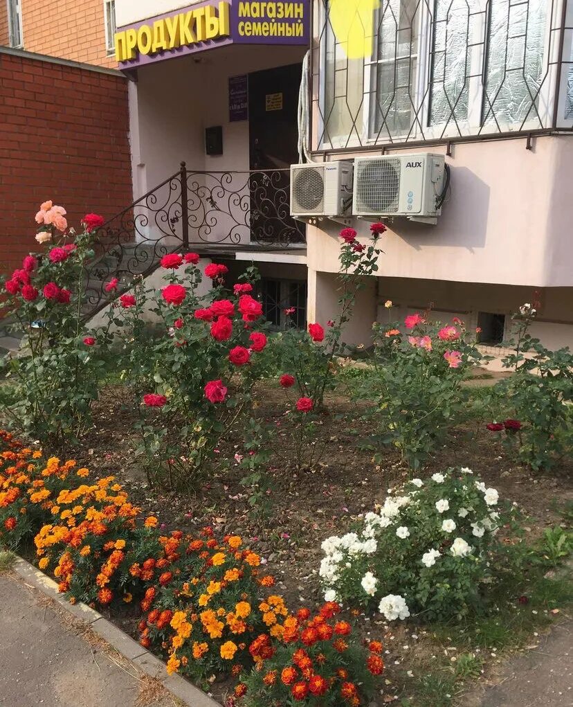 медцентр семья электроугли школьная 49. медцентр семья артем. логотип семейное мед центра.