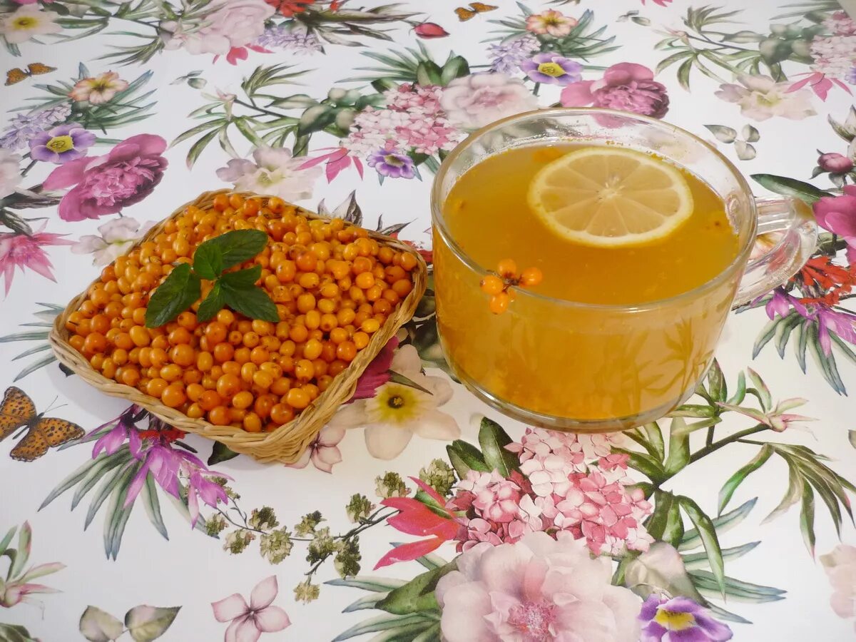 Апельсин облепиха имбирь. Имбирно облепиховый чай. Облепиховый морс с апельсином. Чай "облепиховый с имбирем". Чай "облепиховый с имбирем".