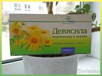 Девясил выкидыш