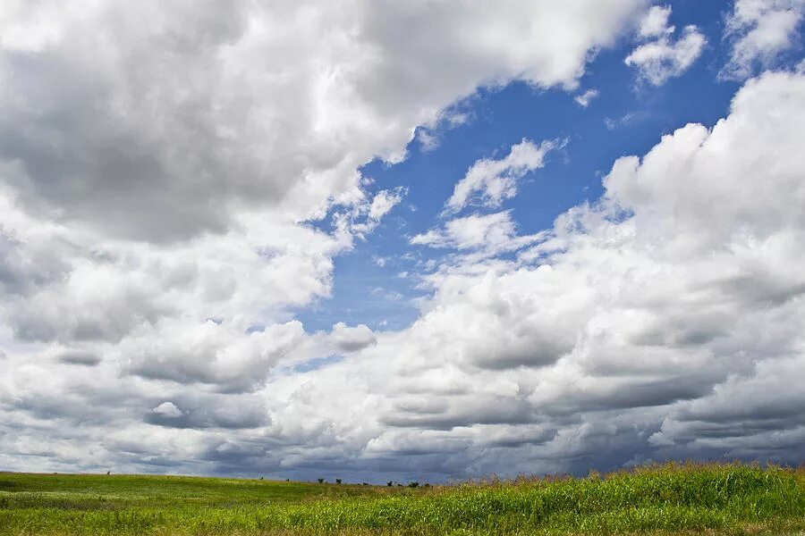 Пасмурное небо. Куча облаков. Cloudy day сын. Облака рассвет. Черные облака.
