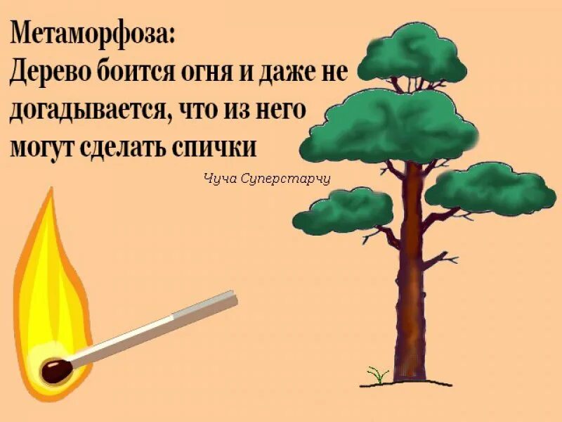 Пуще огня бояться. Дерево не боится огня. дерево страха. дерево боится. спички дерево.