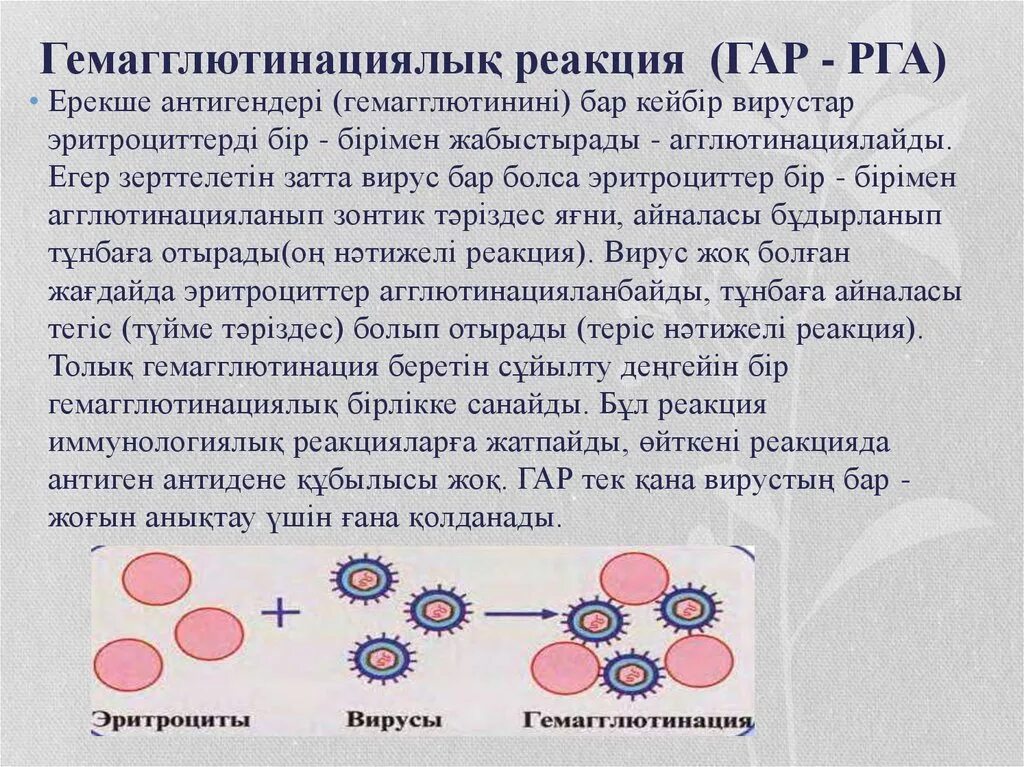 Гемагглютинация это