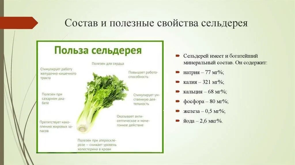 Сельдерей при сахарном диабете 2 типа. Сельдерей черешковый состав. сельдерей черешковый (стеблевой). состав сельдерея стебли. длина корня черешкового сельдерея.