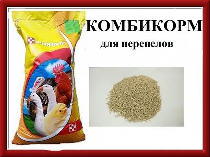 Корм для перепелов