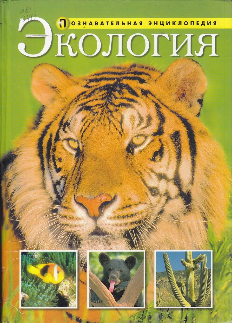 Энциклопедия по экологии. Книги по экологии для школьников. Экология учебник. Книги про экологию. Книги по экологии.