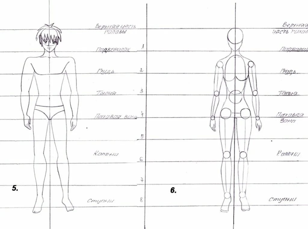 Рисовать человека поэтапно карандашом в полный рост. Пропорции человека для рисования. Пропорции человека рисунок. Пропорции фигуры человека для рисования. Схематический рисунок человека.