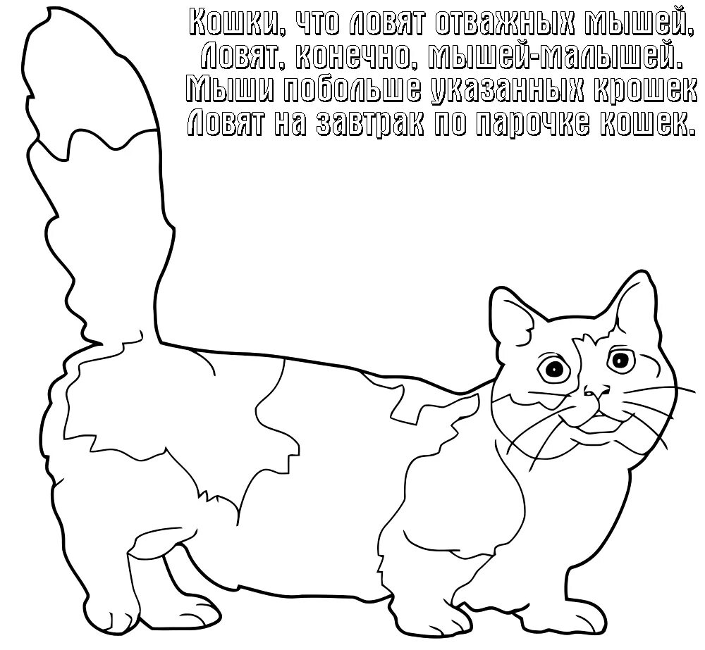 Раскраска кот батон распечатать