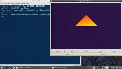 Mastering python