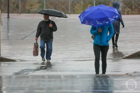 Ближайшее время дождь ожидается