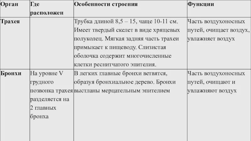 Дыхание таблица 8 класс биология. Трахея особенности строения и функции таблица. Бронхи и легкое строение и функции. Особенности строения трахеи. Таблица органы дыхания орган строение функции.