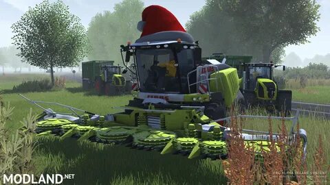Cattle and crops