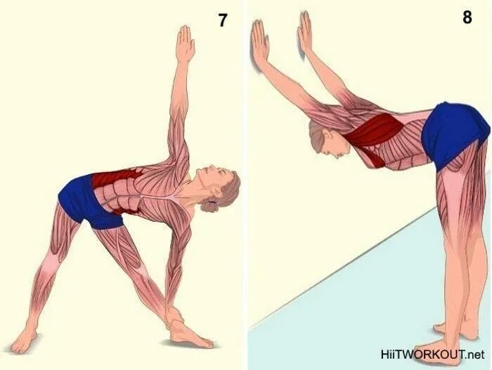 Стретчинг. Seated hamstring stretch. Упражнения на растяжение задней поверхности бедра. Растяжка бедра упражнения. Упражнения для стретчинга.