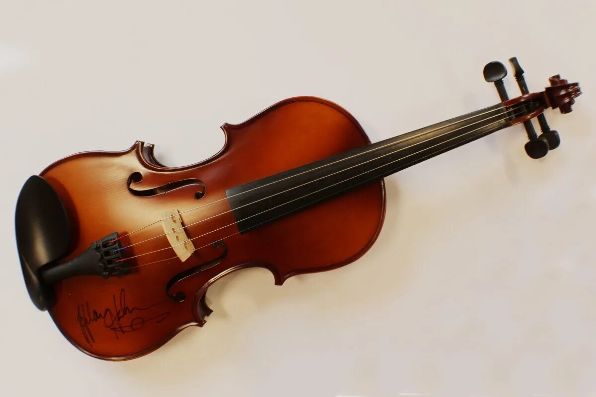 Viola and Violin. Скрипка музыкальный инструмент. Первая скрипка. Изображение скрипки