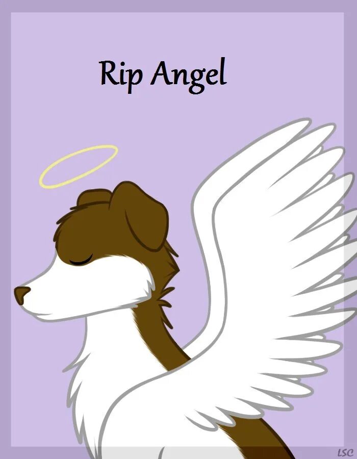 Рип энджел. Rip angel. Rip angel rip cat. Rip angel. Rip angel.