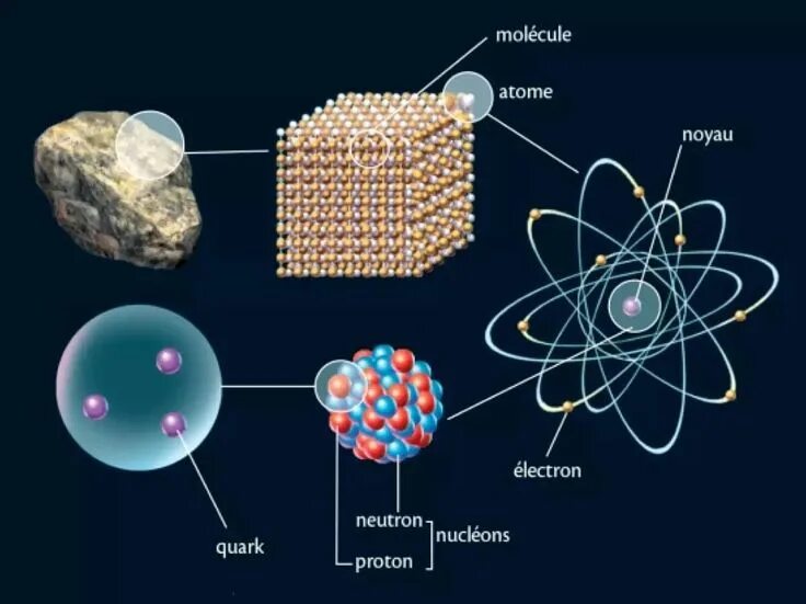 Клетка и атом. Клетка молекула атом. Клетка состоит из атомов. Клетка состоит из молекул и атомов.