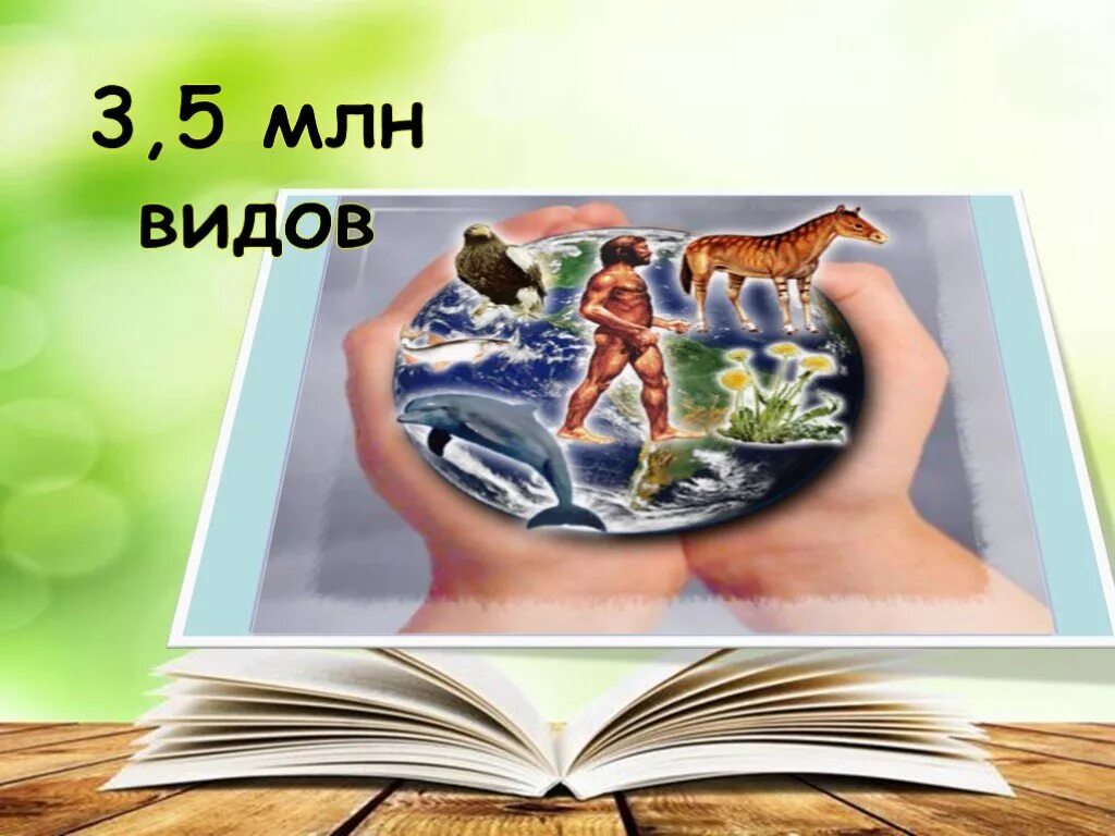 Первые уроки по биологии. Биология наука о живой природе. Урок на тему биология наука о живой природе. Наука о живой природе 5 класс. Урок 1 биология 5 класс наука о живой природе.