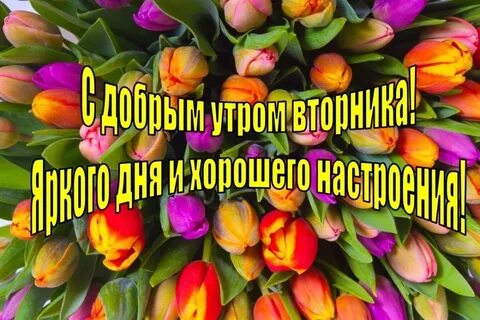 Доброе утро хорошего вторника картинки весенние