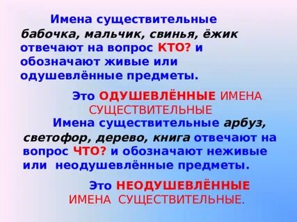 Одушевленные имена существительные это
