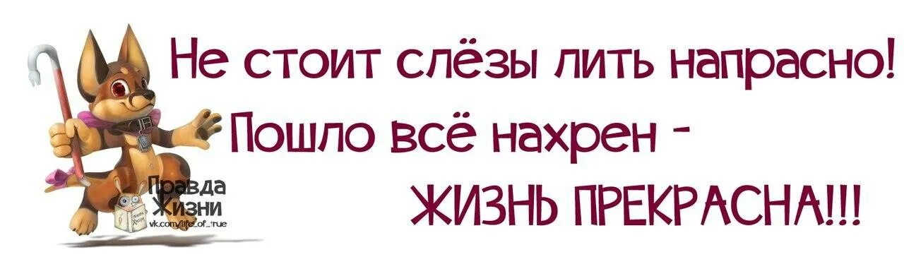 Пошло все нахрен. Правда жизни. Пошло всё нахер жизнь прекрасна. Пошло все.