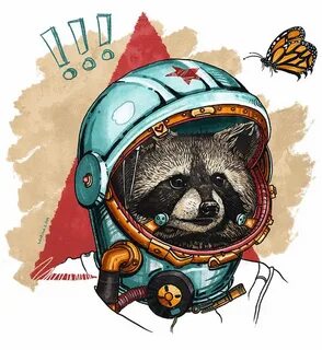 Космический енот