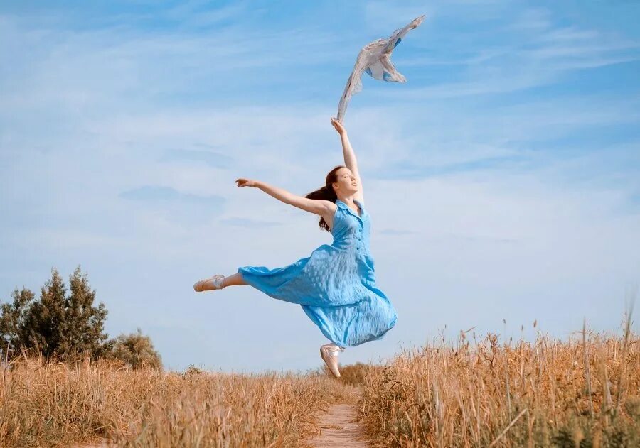 Уравнение движения с постоянным ускорением 10 класс. Летит под какой. Птицы на рассвете. Самолет в облаках. Летит под какой.