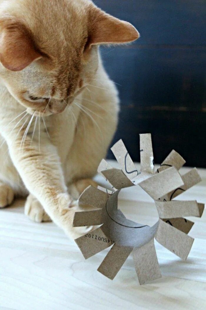 Как сделать такого кота. Самодельная игрушка для кота. самодельные игрушки для кошек. игрушка кот. бумажные игрушки для котов.