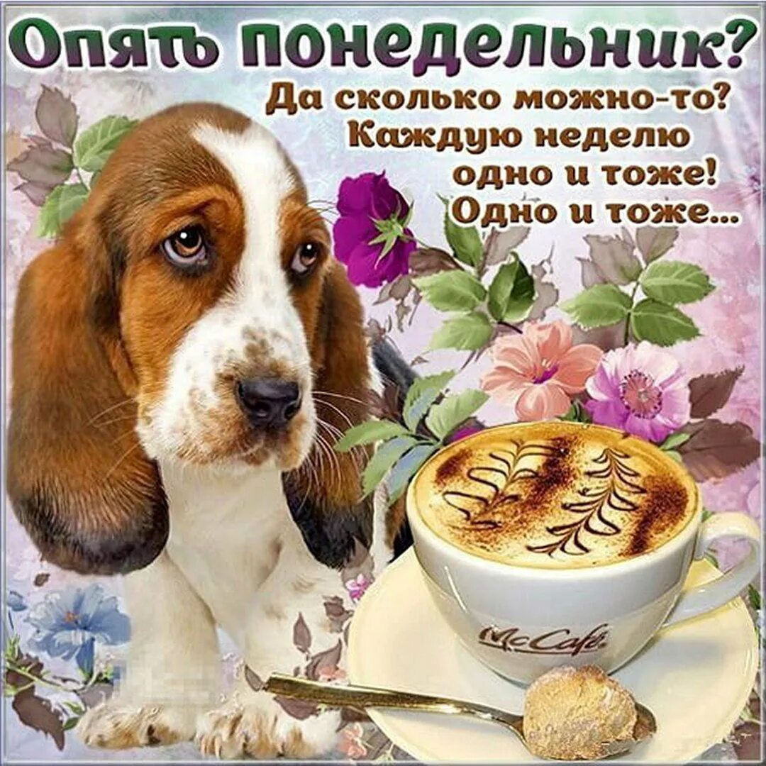 Мерцающие открытки с добрым утром понедельника. Поздравление с понедельником. поздравление с понедельником прикольное. открытки с понедельником. открытки опять понедельник.