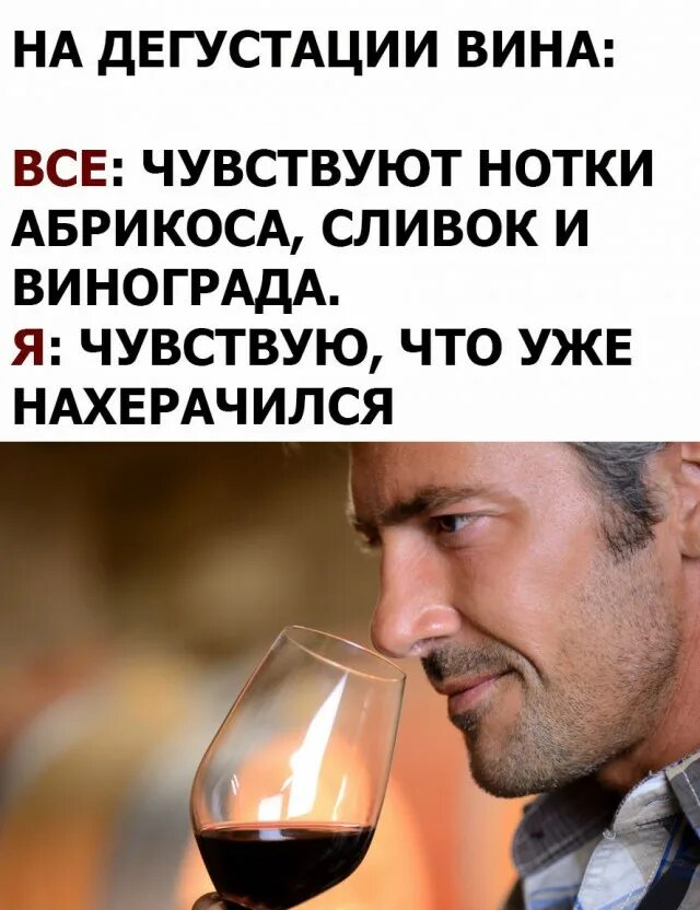 У тебя есть вина. Приколы про вино. шутки про дегустацию вин. шутки про дегустацию вина. шутки про вино.