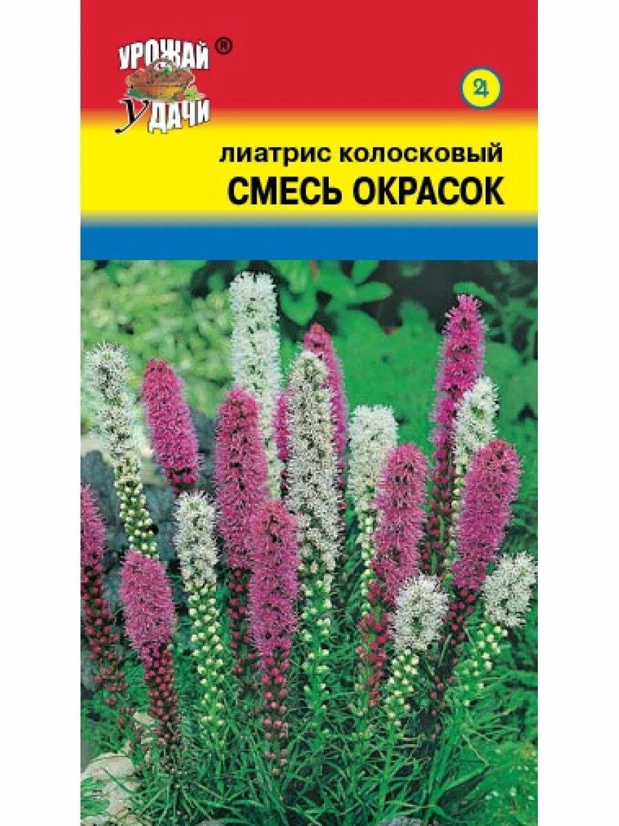 Правила посадки и ухода за лиартисом в открытом грунте: сорта, выращивание, цвет