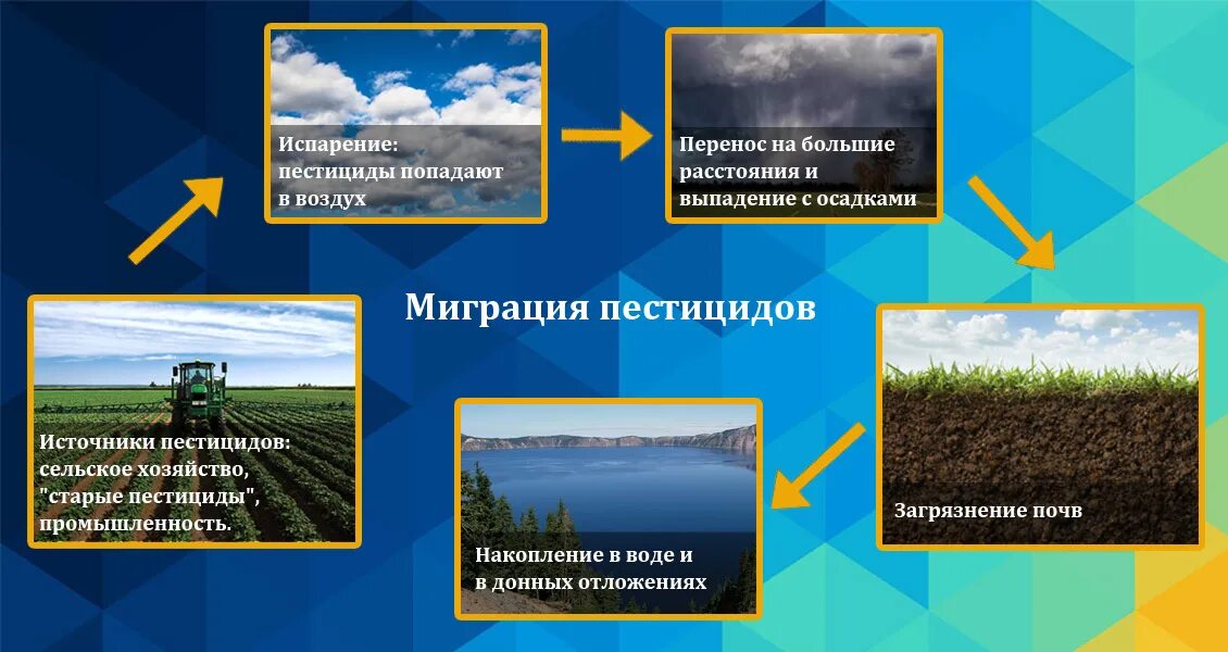 Известно что человек тяжелее переносит нехватку воды. Загрязнение почвы сельским хозяйством. Загрязнение почвы схема. Пестициды в сельском хозяйстве. Пестициды в почве.