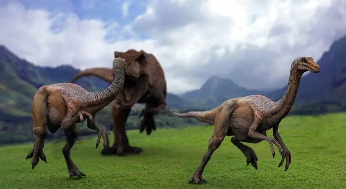 Галлимим парк Юрского периода. Самый быстрый динозавр Галлимим. Галлимим динозавр мир Юрского периода. Мир Юрского периода 2 Галлимим.