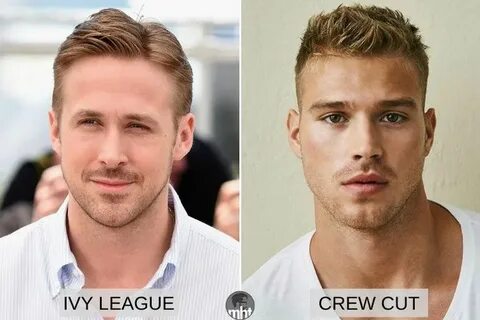 Crew cut перевод