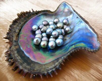Pearl sea shop