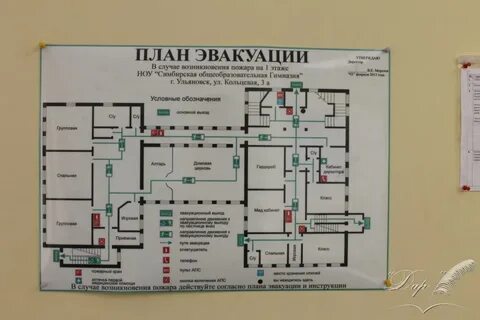 План гимназии