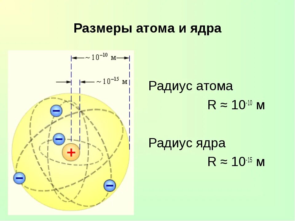 Сколько атомов в человеке