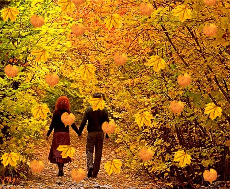 Песня кружит осенний листопад а сердце. Листопад любовь. Осенние листья кружат. Осень кружит листья золотые. Осень любовь листопад.