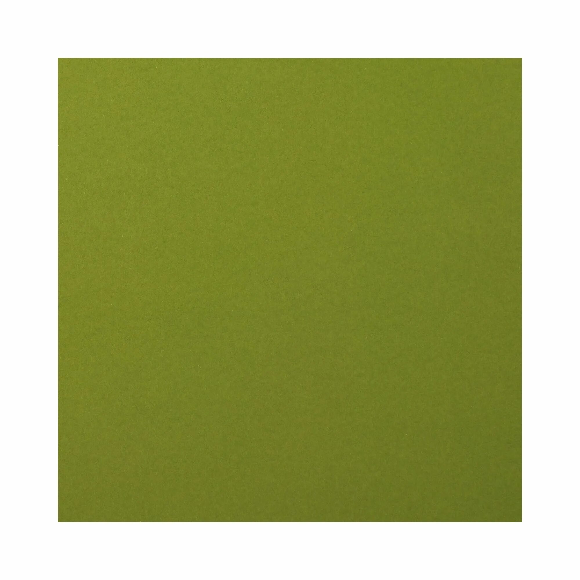 Оливковый цвет смик. Olive green цвет. Олива грин цвет. Зеленый цвет. Цвет хаки олив грин.