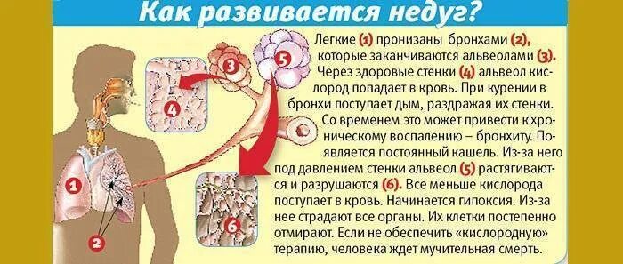 Если кашель и тяжело дышать. Почему человек может задыхаться. После кашля трудно дышать что это. Тяжелое дыхание кашель. Чем лечить свист при выдохе