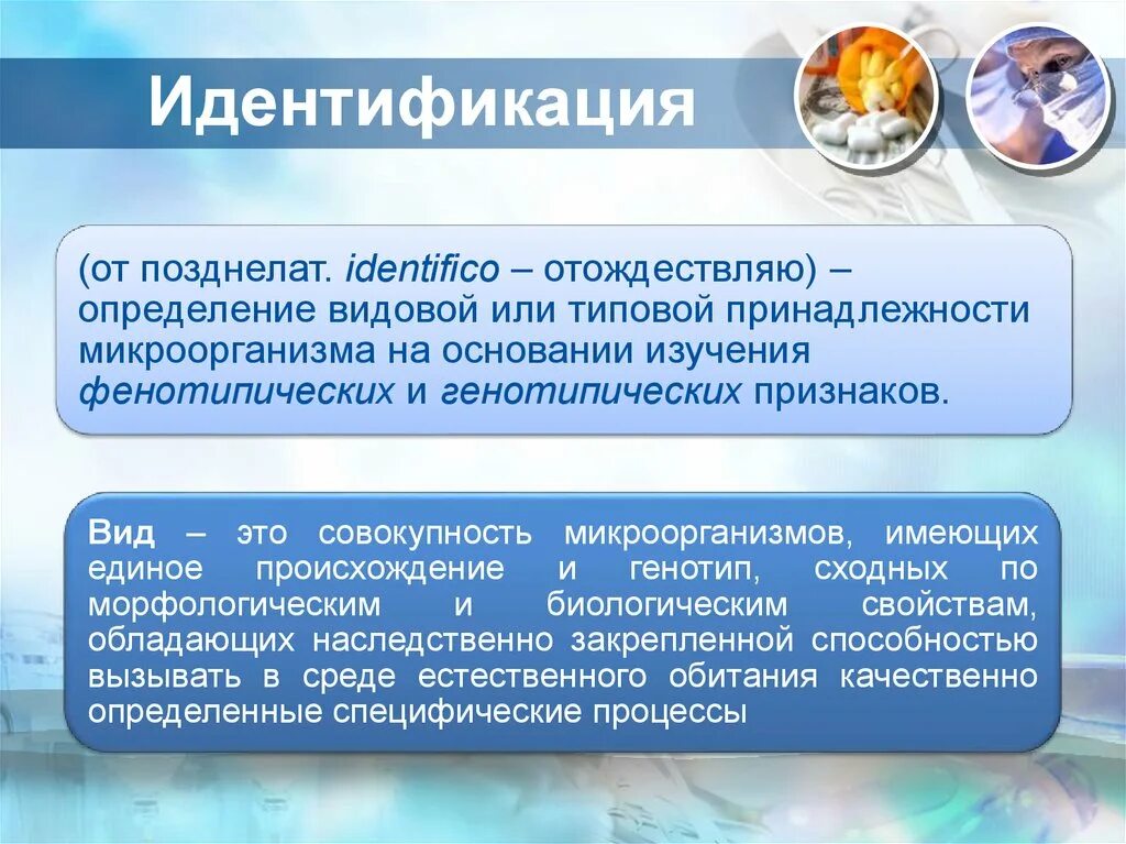 Идентификация представляет собой. Определение видовой принадлежности – идентификация. определение видовой принадлежности микроорганизмов. идентификация проблемы. идентификация для презентации.