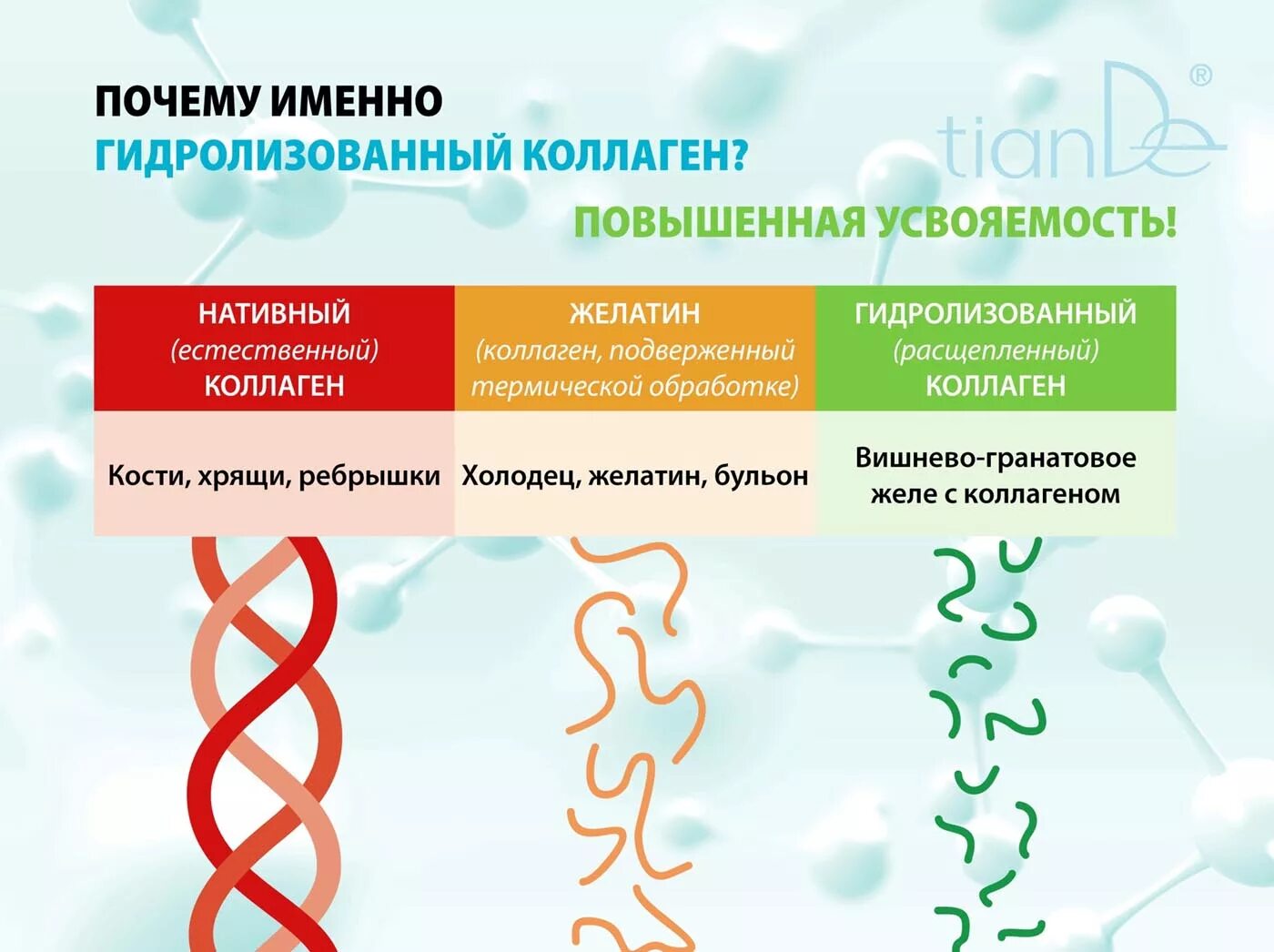 Коллаген что это такое простыми словами. Коллаген человека. Коллаген в организме человека. Нативный коллаген. Коллаген в теле человека.