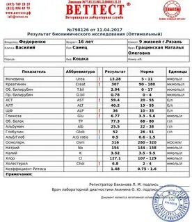 Показатели биохимии кошки